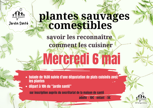 BALADE PLANTES COMESTIBLES 
