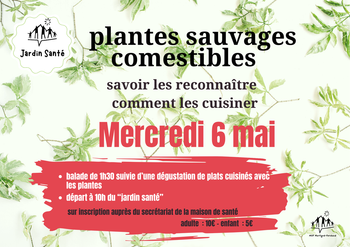 BALADE PLANTES COMESTIBLES 