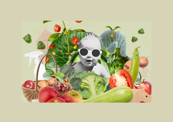 ORDONNANCE VERTE 