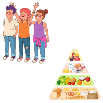Parcours de l'enfant et de l'adolescent en surpoids ou obésité